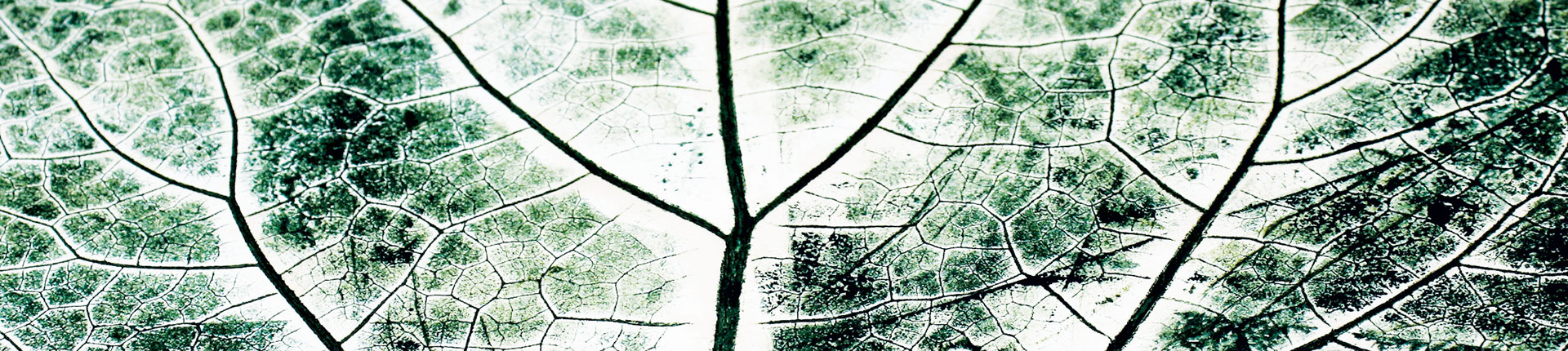 Ikoì Arte di Elena Fodera - hand printed Ikoì Arte di Elena Fodera - hand printed